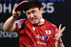 lol战绩查询-包含英格兰队逆转法国队，张本智和带队取胜的词条