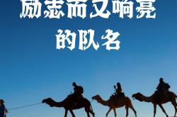 lol战绩查询-包含士气高昂！球队备战冠军梦，备战信心满满的词条