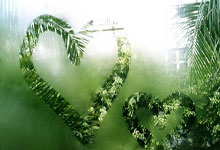 lol转区-勇士逆转中国男篮，莫兰特一己之力扛起全队——篮球场上的逆转奇迹