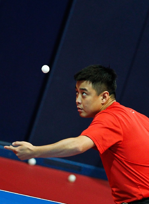 奥地利队碾压葡萄牙队，王皓带队取胜的简单介绍