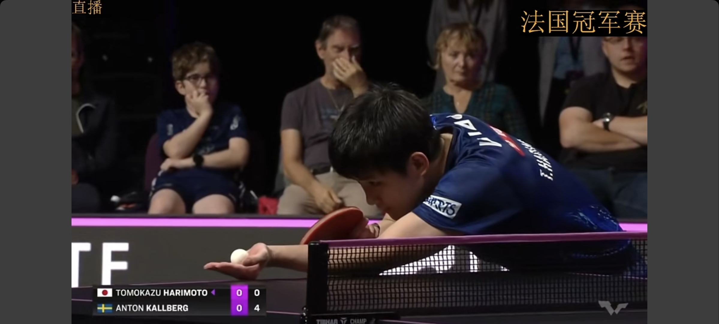 法国队碾压波兰队，张本智和统治全场